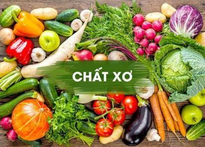 chat-xo-trong-vegan-ramen-nen-tang-sinh-hoc-cua-mot-he-tieu-hoa-khoe